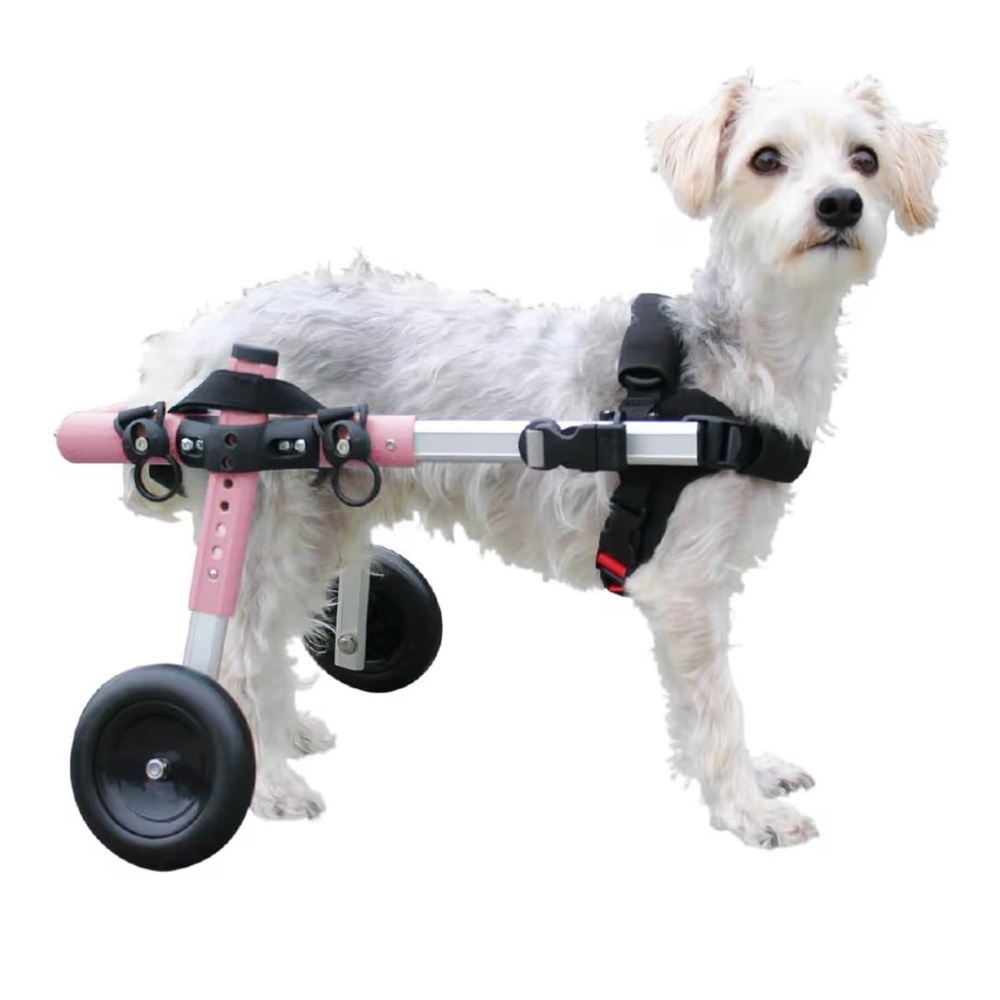 Walkin Pets Wheelchair, Pink (S)